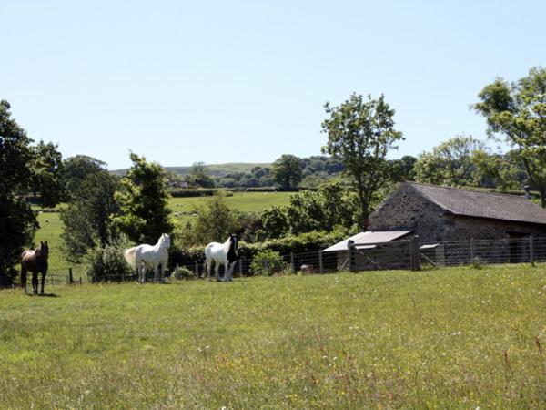 The Shippon Villa Conwy Dış mekan fotoğraf
